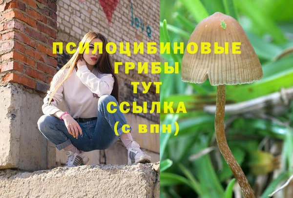 винт Михайловка