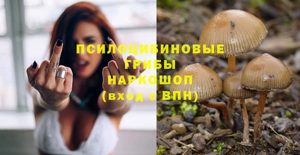 винт Михайловка