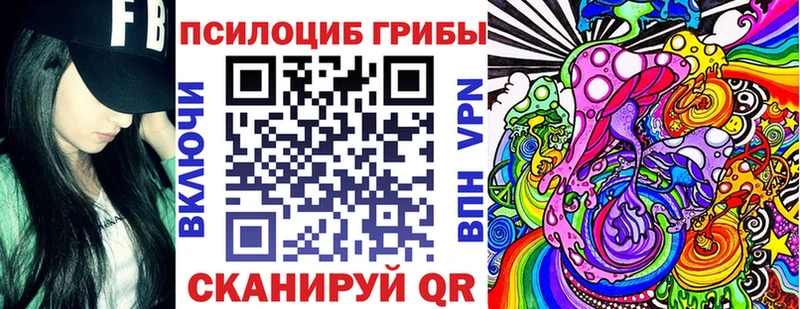 купить Нефтегорск Псилоцибиновые грибы Psilocybine cubensis